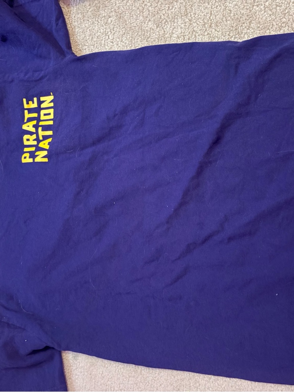 Pirate Nation Graphic Tee in Deep Purple with Yellow Print